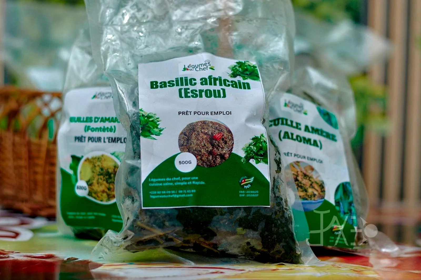 BASILIC AFRICAIN (ESROU)